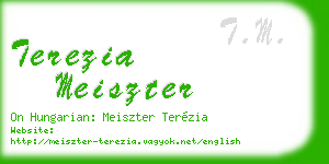 terezia meiszter business card